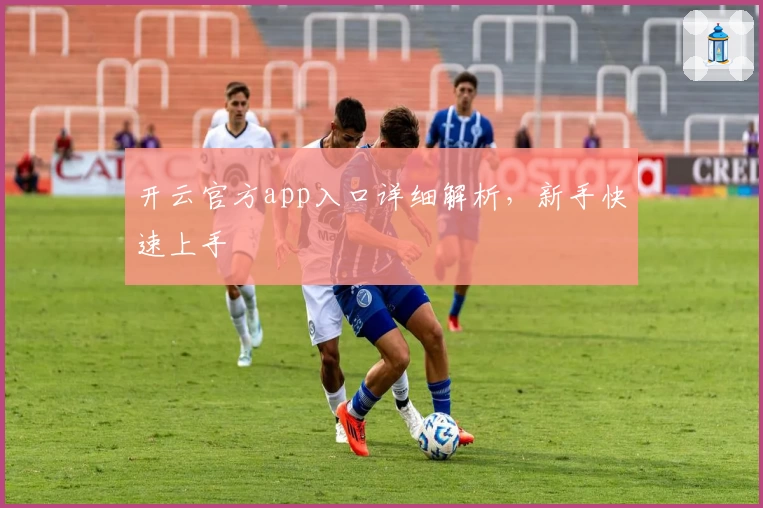 开云官方app入口详细解析，新手快速上手