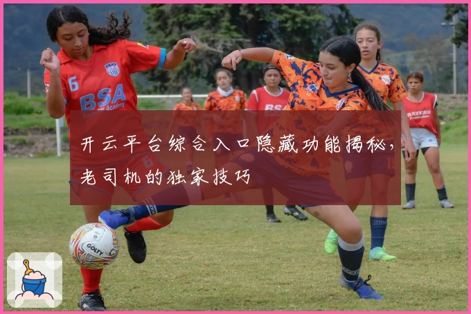 开云平台综合入口隐藏功能揭秘,老司机的独家技巧