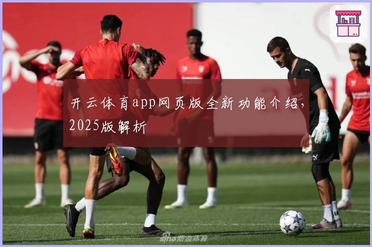 开云体育app网页版全新功能介绍，2025版解析