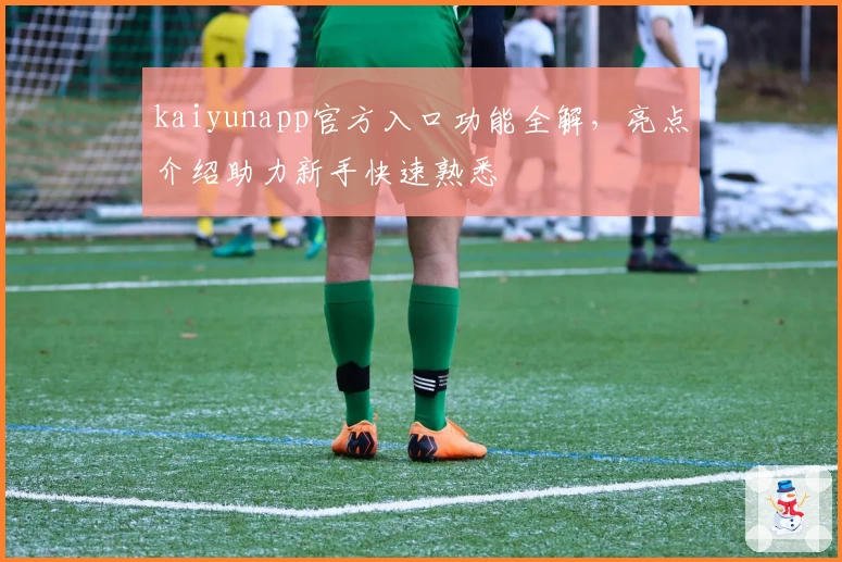 kaiyunapp官方入口功能全解，亮点介绍助力新手快速熟悉