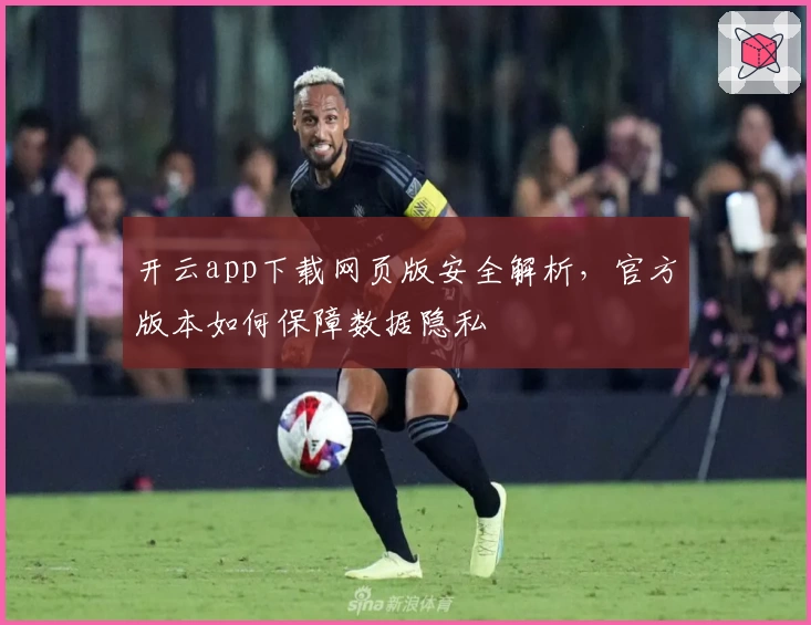 开云app下载网页版安全解析，官方版本如何保障数据隐私