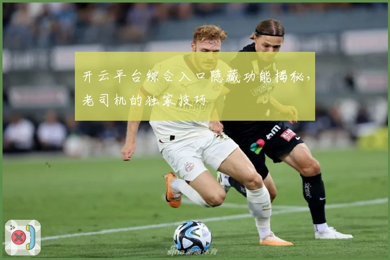 开云平台综合入口隐藏功能揭秘,老司机的独家技巧
