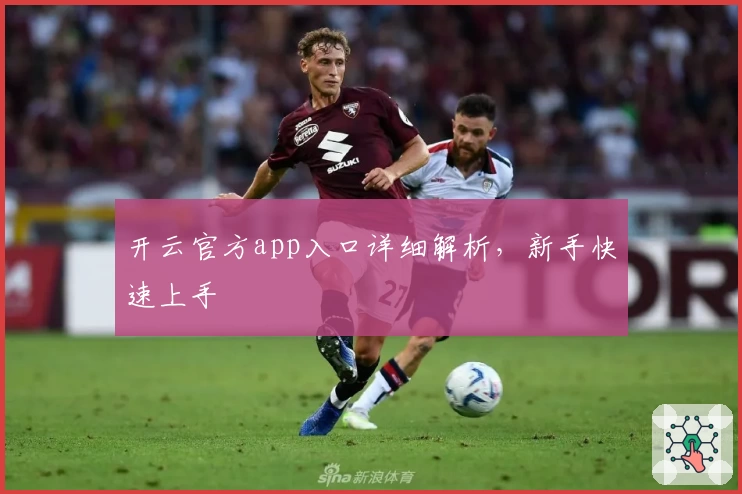 开云官方app入口详细解析，新手快速上手