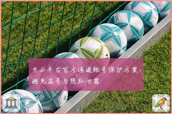开云平台官方通道账号保护方案，避免盗号与隐私泄露