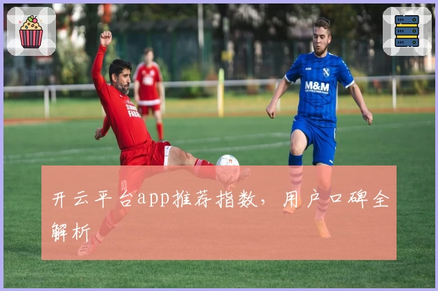 开云平台app推荐指数，用户口碑全解析