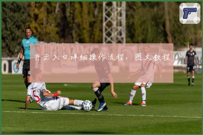 开云入口详细操作流程，图文教程